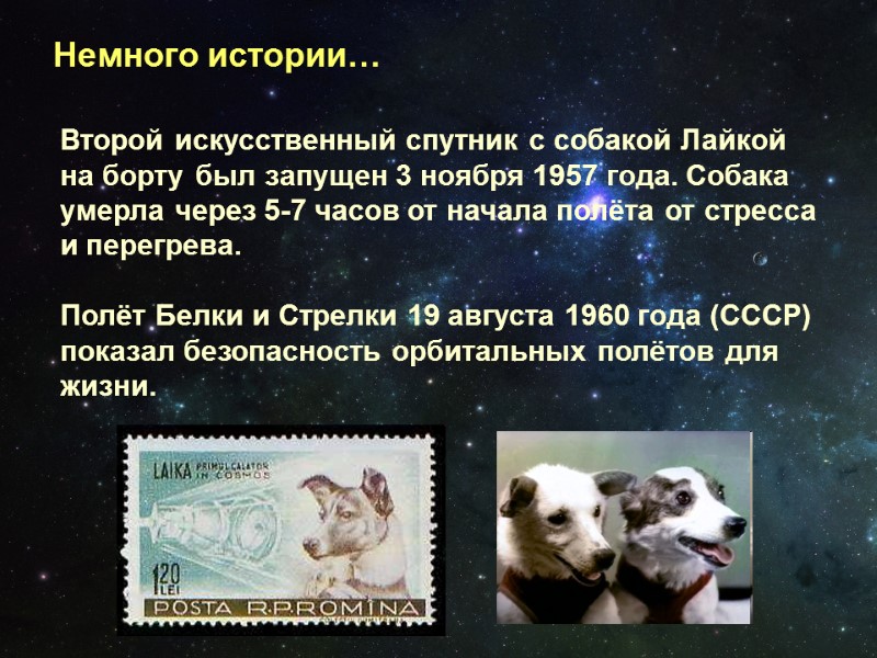 Немного истории… Второй искусственный спутник с собакой Лайкой на борту был запущен 3 ноября